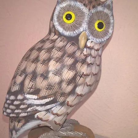 Oda ve Kahvaltı Le Nid Doux Vresse-sur-Semois