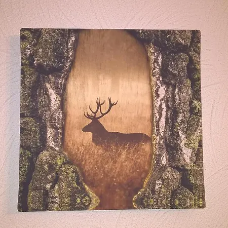 Le Nid Doux Nocleg ze śniadaniem 4*