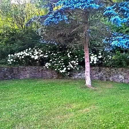 Le Nid Doux Vresse-sur-Semois